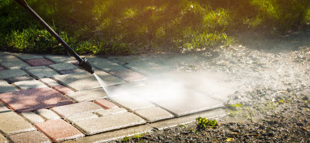 Best Animal Enclosure Cleaning  in El Macero, CA